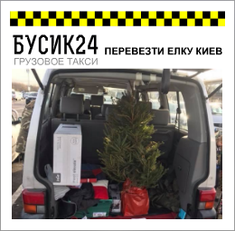 ПЕРЕВЕЗТИ ЕЛКУ КИЕВ