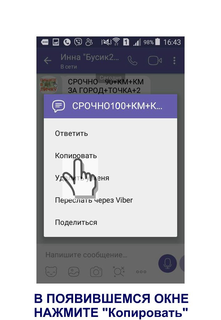 skopirovat.jpg